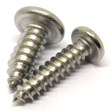 SS 304 316 Stainless Steel Pan Head Self Tapping Screw